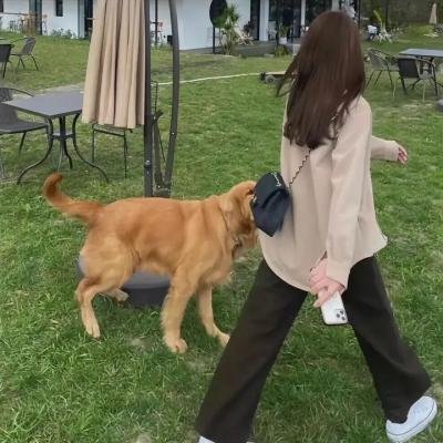 黑暗中的舞者